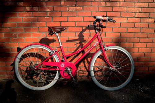 Bobbin Brownie 24 specs and reviews